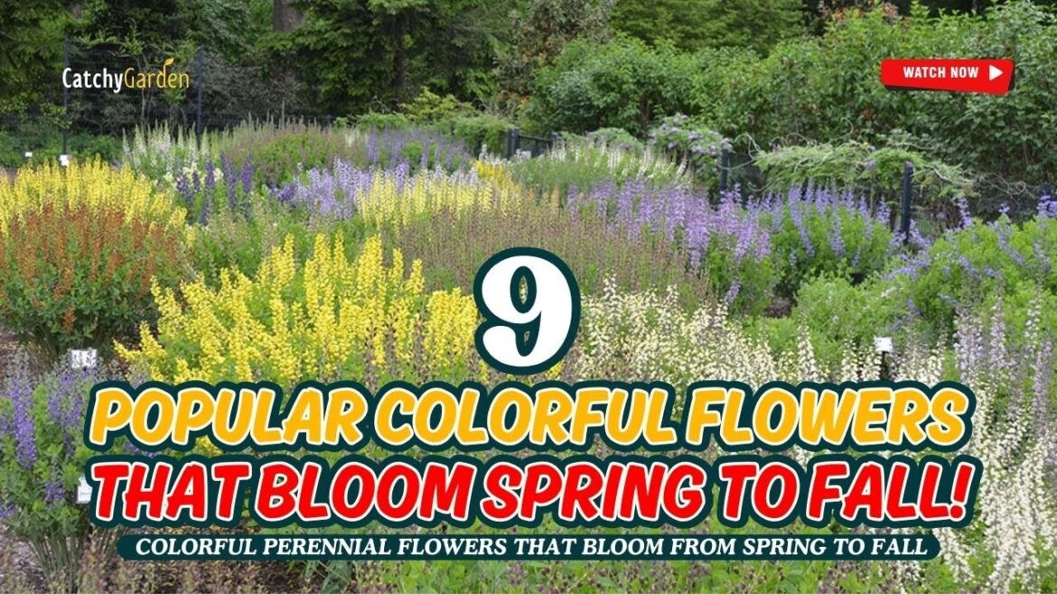 9 COLORFUL FLOWERS THAT BLOOM SPRING TO FALL! 🌷🌺🌼 // Gardening Ideas
