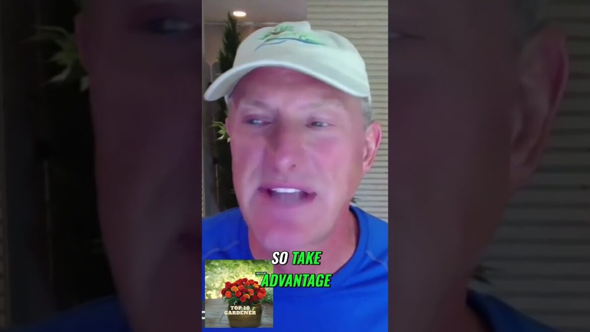 Boost Growth with Strategic Fertilizing