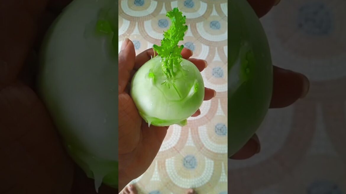 You Can Easily Grow Fresh Vegetable | In Your Hone| Nature | 399 #shorts feed #viral You Can Easily Grow Fresh Vegetable | In Your Hone| Nature | 399 #shorts feed #viral