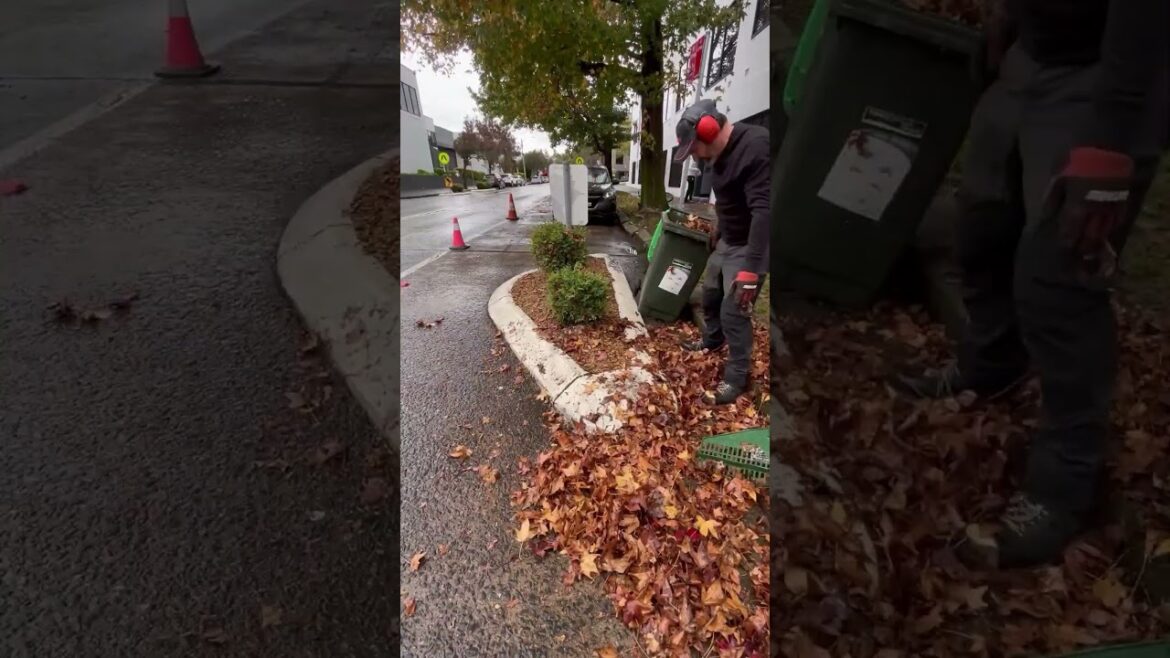 Quick Yard Cleanup 35 #YardCleanUp #LawnCare #LawnMaintenance #GardeningTips #TrimmingTips