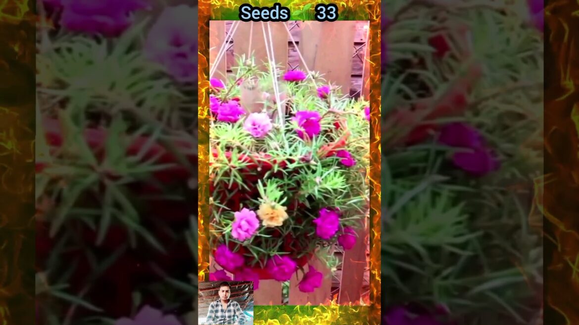 Best home garden ideas plants_flowers #garden #homegarden #seedsplants33 #plants #short