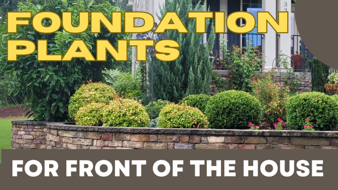 Foundation Plants For Front Of The House | Best Bushes For Front Yard Landscaping | Landscape Styles