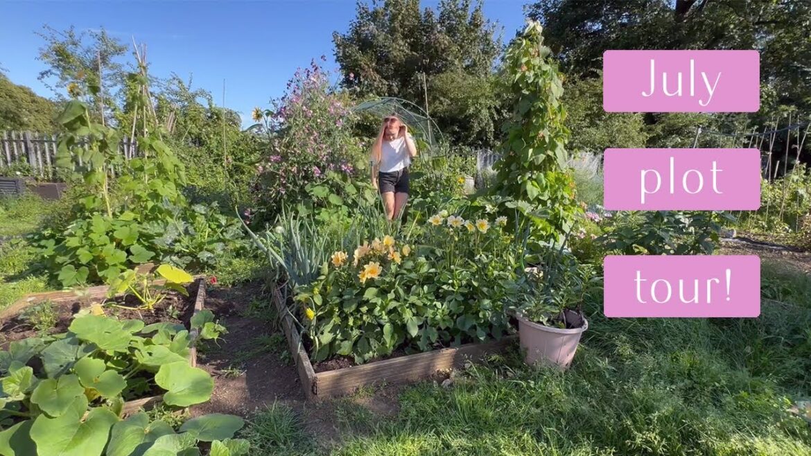 My Plot is WILD…. | Allotment Vlog π» Ep.28 π» My Plot is WILD.... | Allotment Vlog π» Ep.28 π»