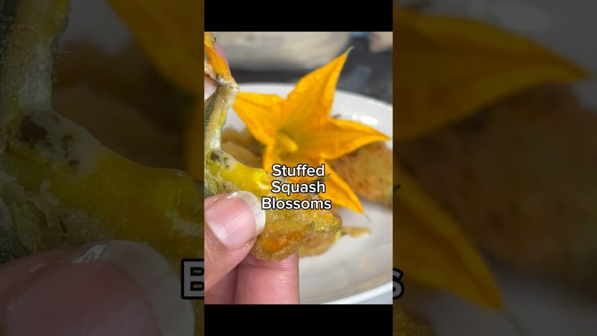 Easy & Edible Squash flower recipe! #shorts #flowers #ediblegardening