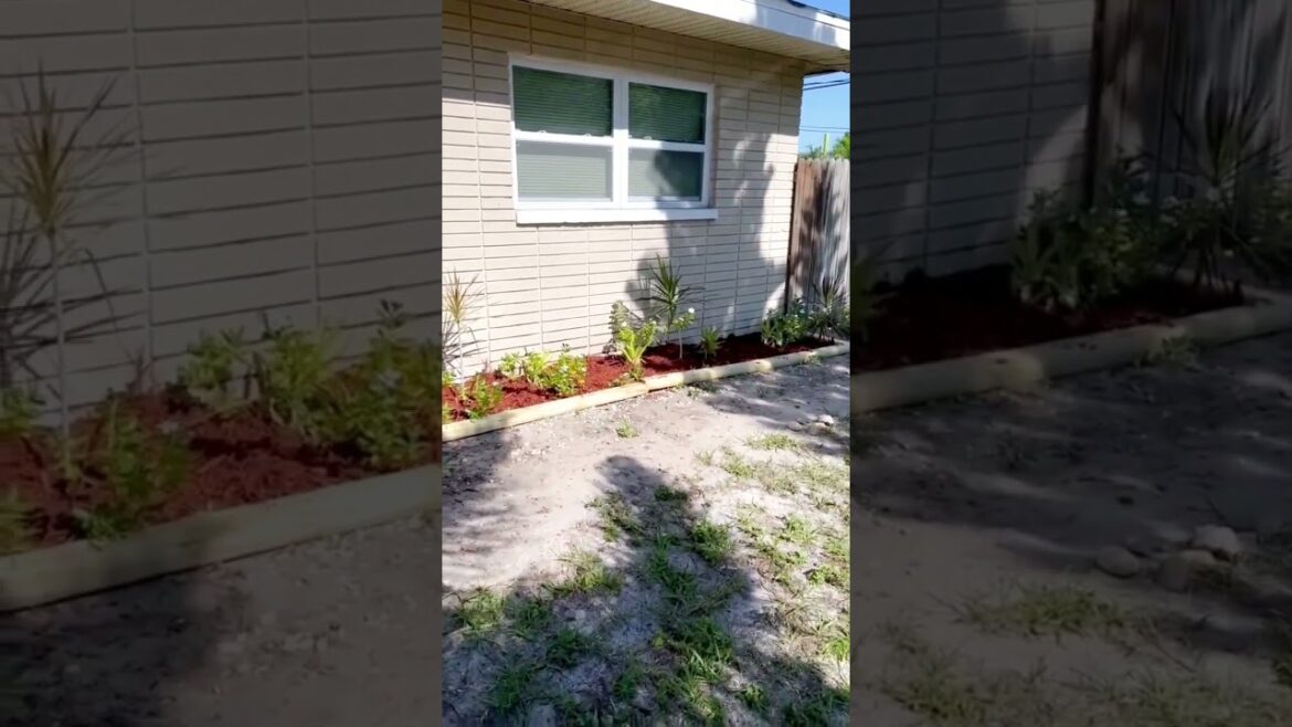 landscaping.  #yard #garden #summer #mulch