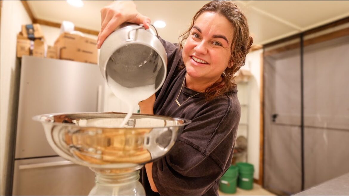 I'm going grey (Goat Milking chat) | VLOG