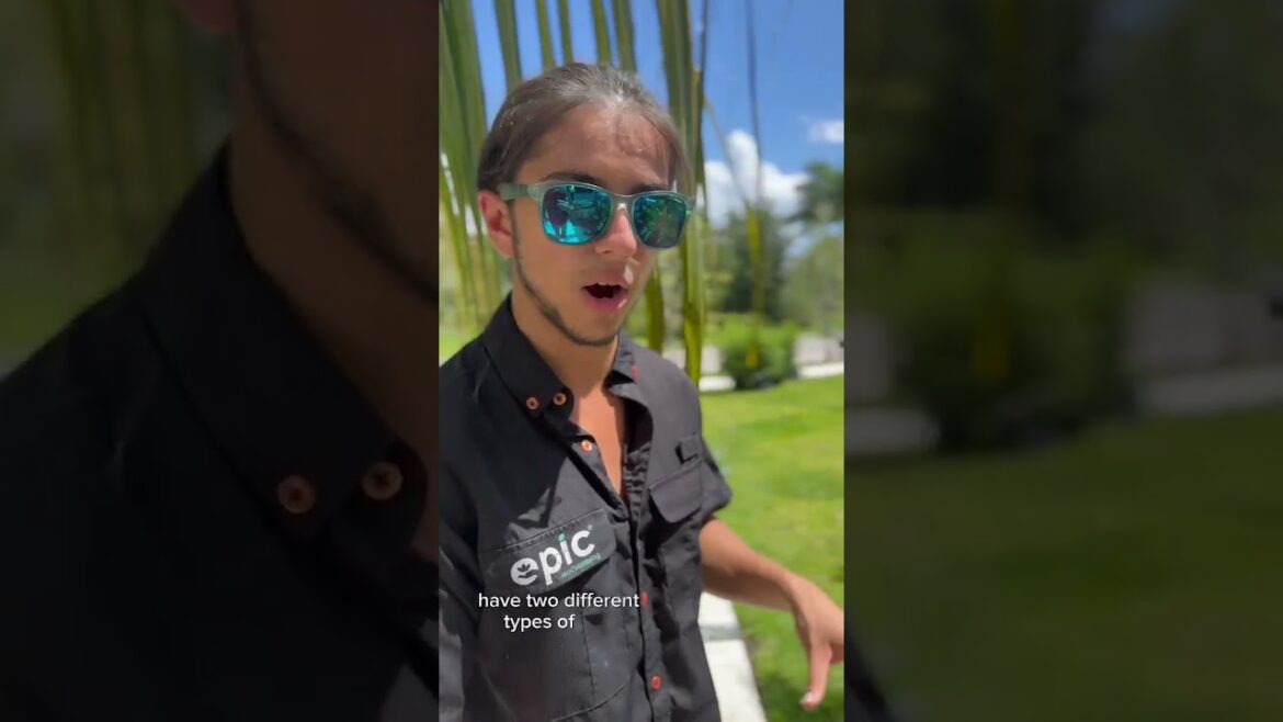 Low Maintenance, High Impact: EPIC Landscaping's Vibrant Garden Design