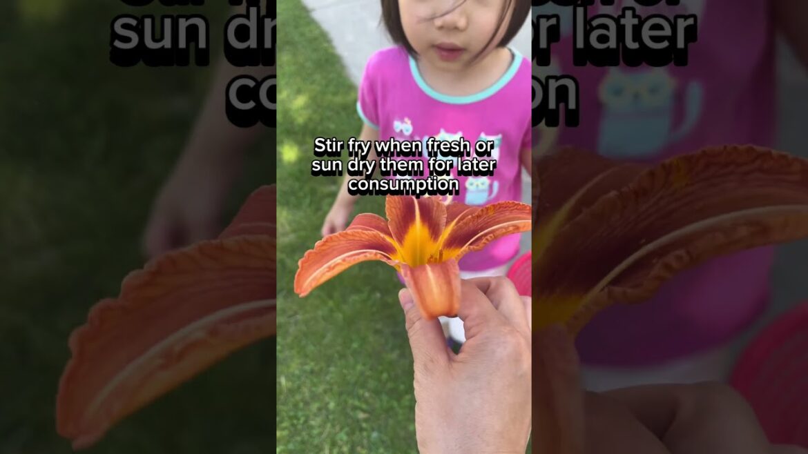 Favourite edible flower