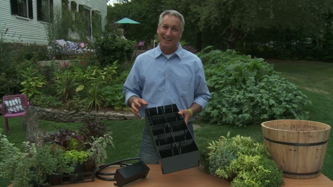 Growing a Greener World Episode 213 – Living Walls Growing a Greener World Episode 213 - Living Walls