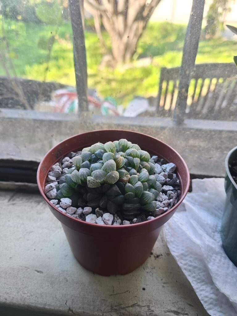 He’s come a long way