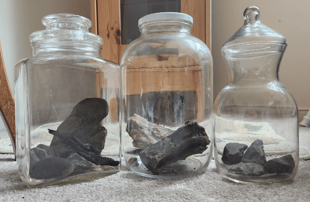 As someone who was told i couldnt have any more tanks...the jarrariums are addicting