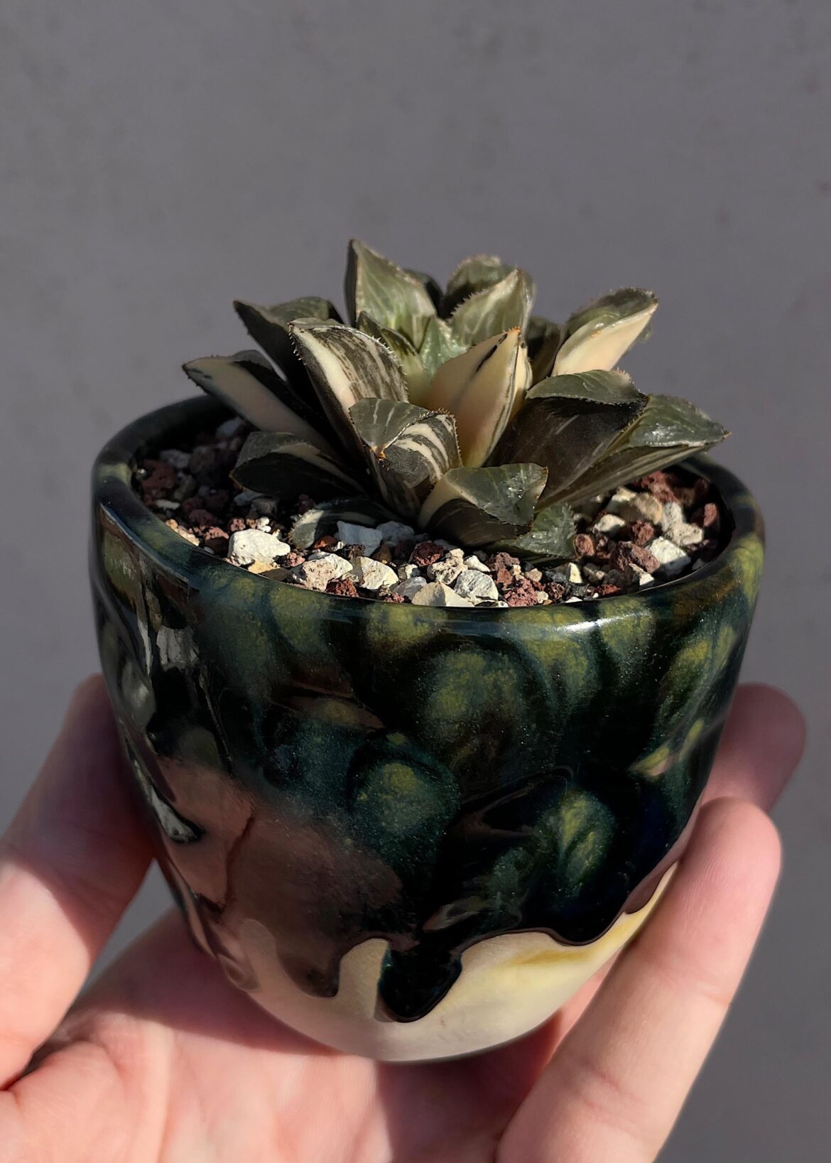 My latest creation