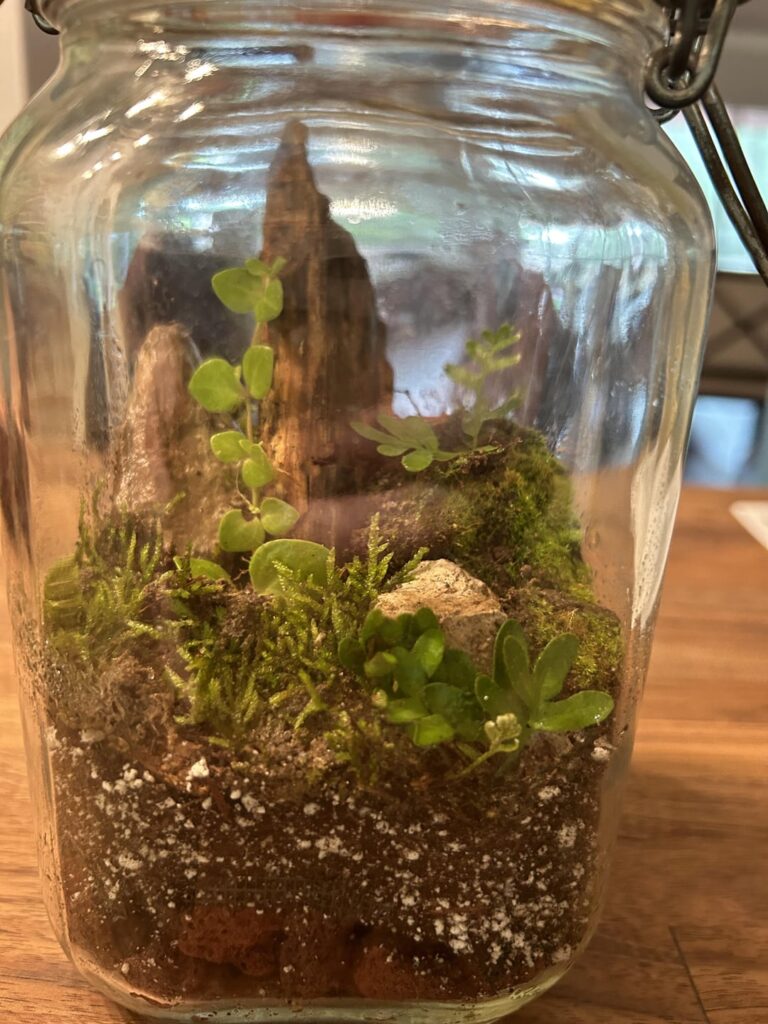 My First Jarrarium