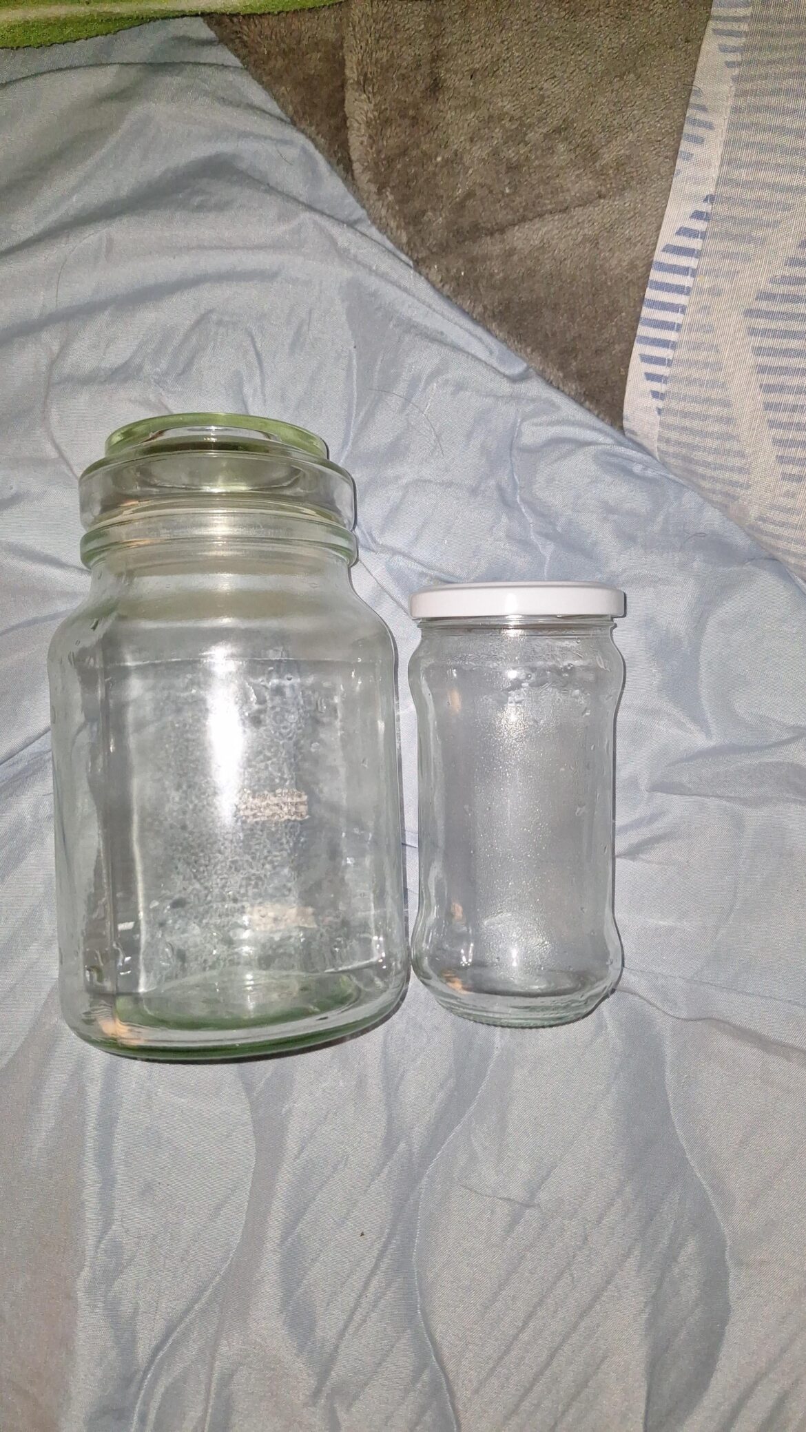 A seawater ecosystem from the beach vs one out of dirt, which one is easier to keep longterm? A seawater ecosystem from the beach vs one out of dirt, which one is easier to keep longterm?