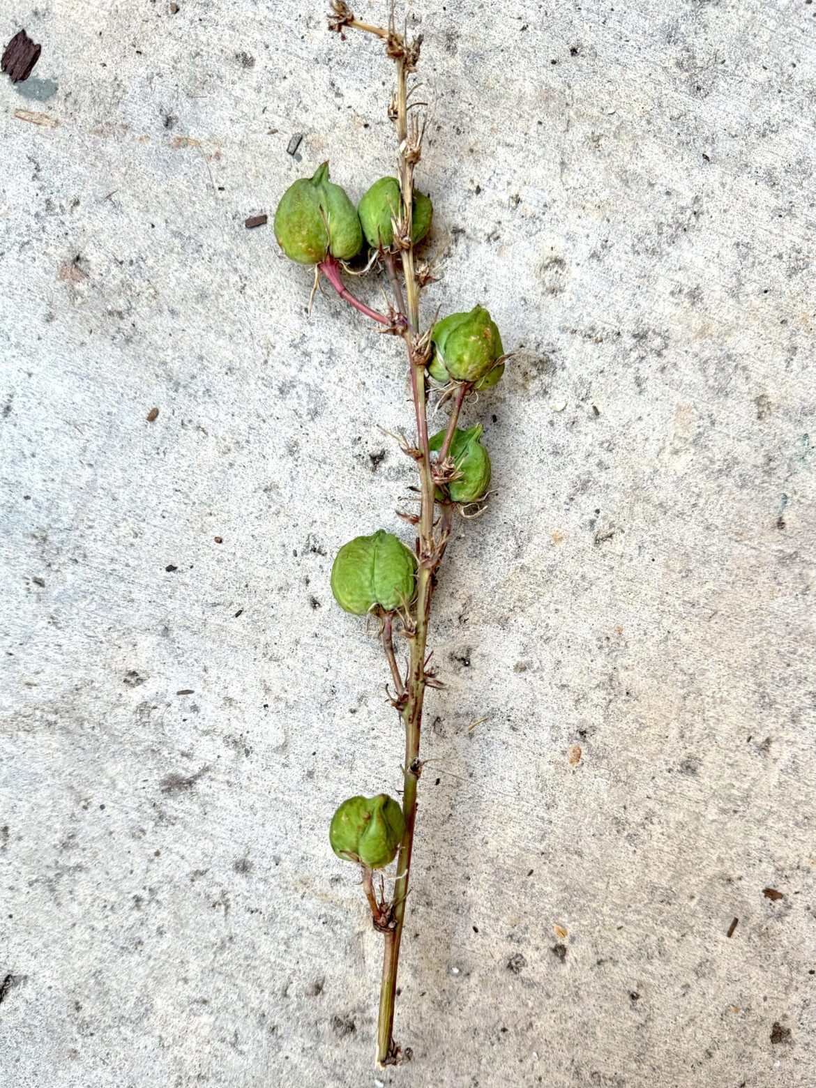 what is this and can it be propped at all?