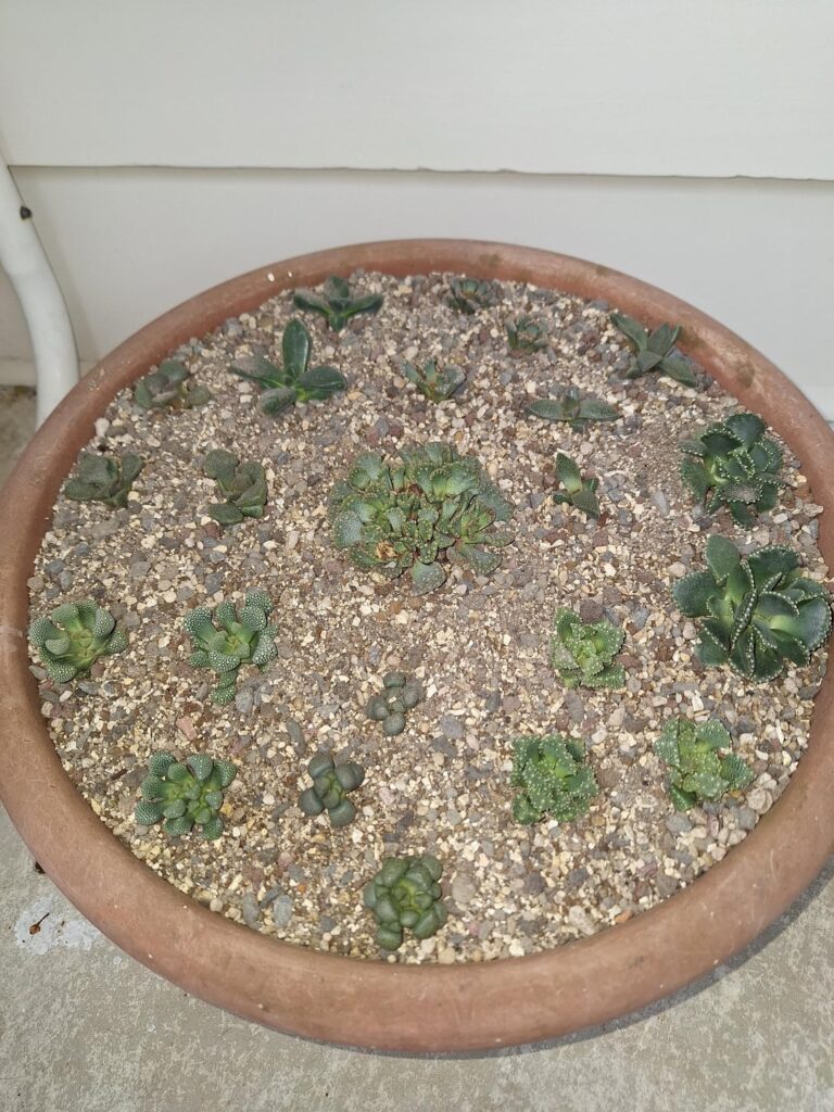 Finally made my dream planter Finally made my dream planter