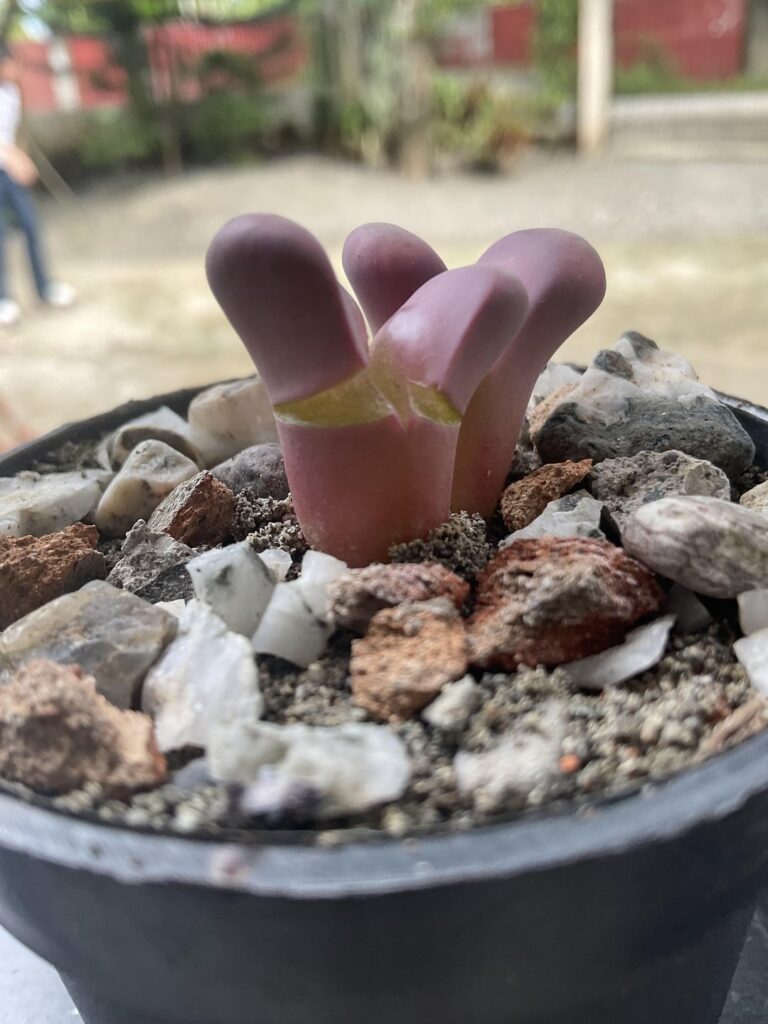 Came back from a 3-day vacation and saw this. What should I do?