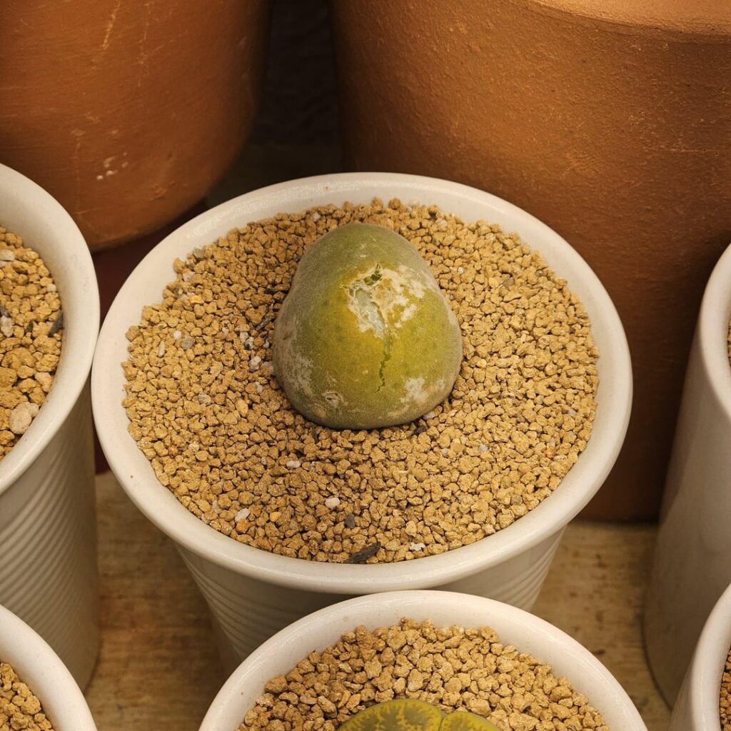 this is so scary to watch lol