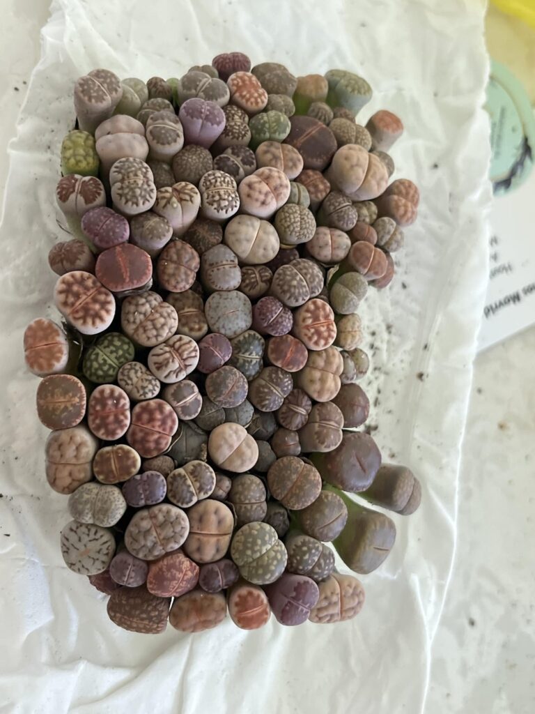 Ideas on how to separate this?