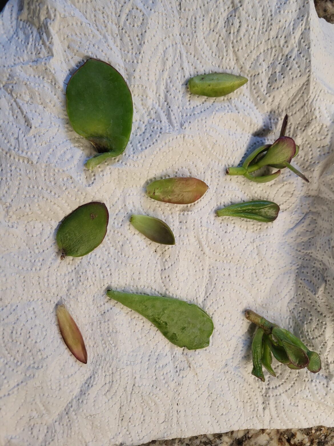 My HomeDepot scavenger hunt today...