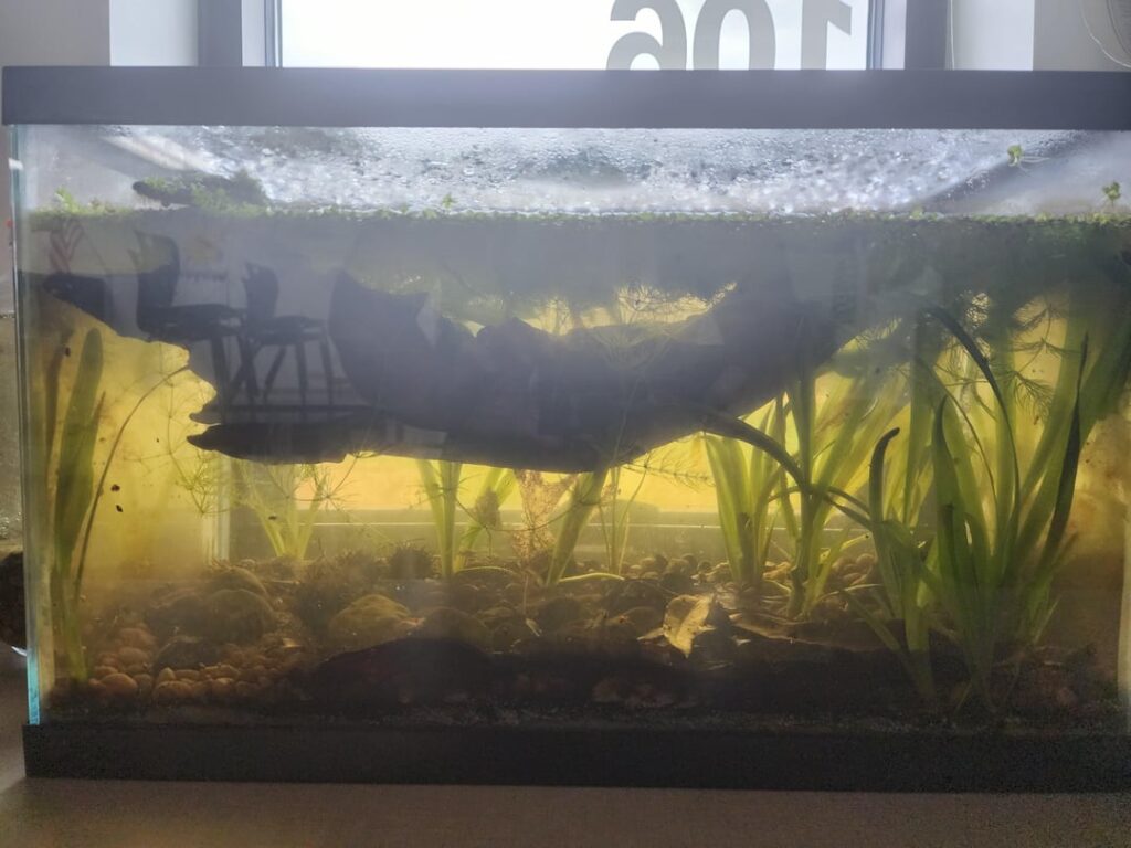 No Electricity? No Problem!