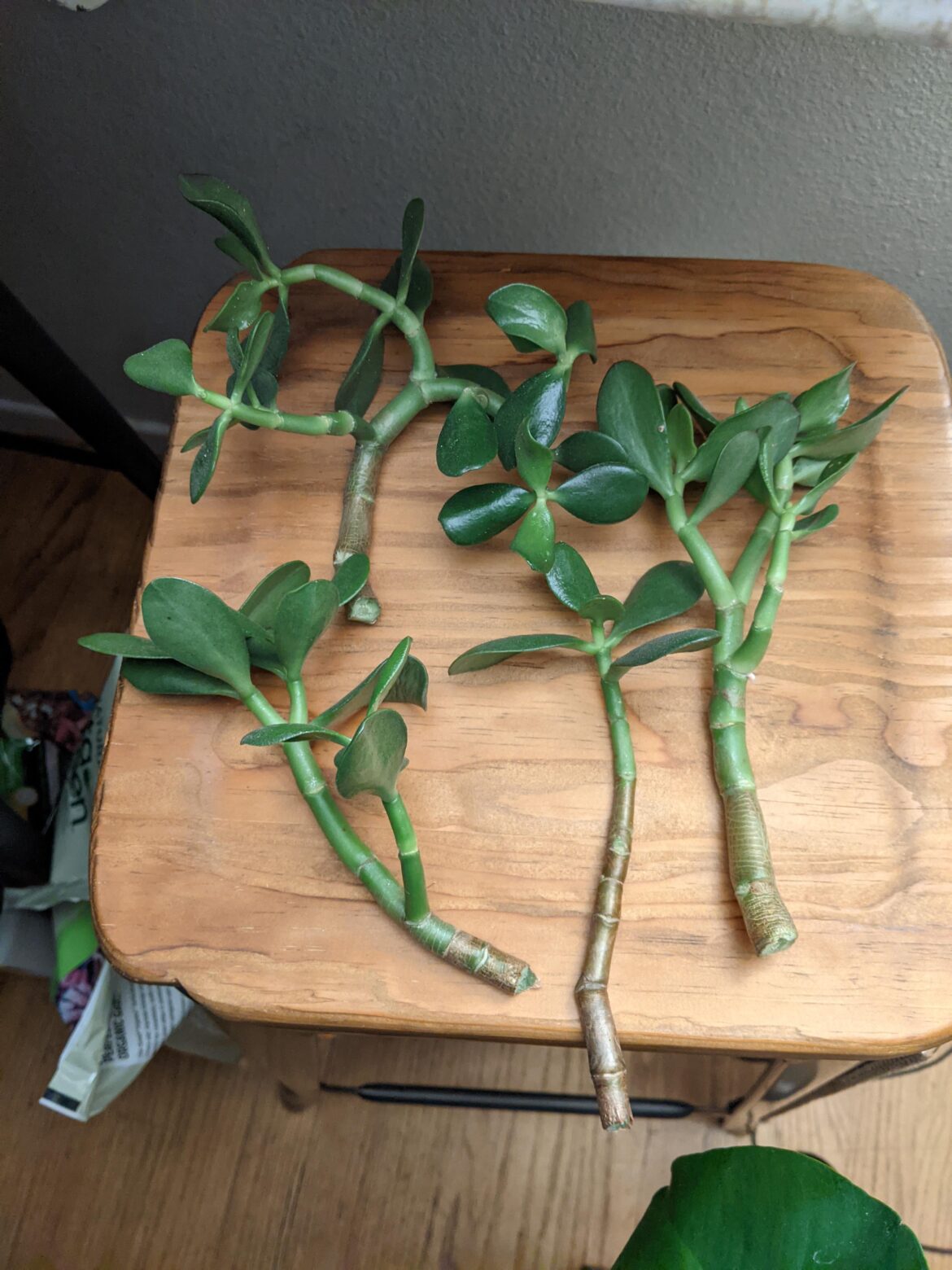 Proplifting from work 🫣