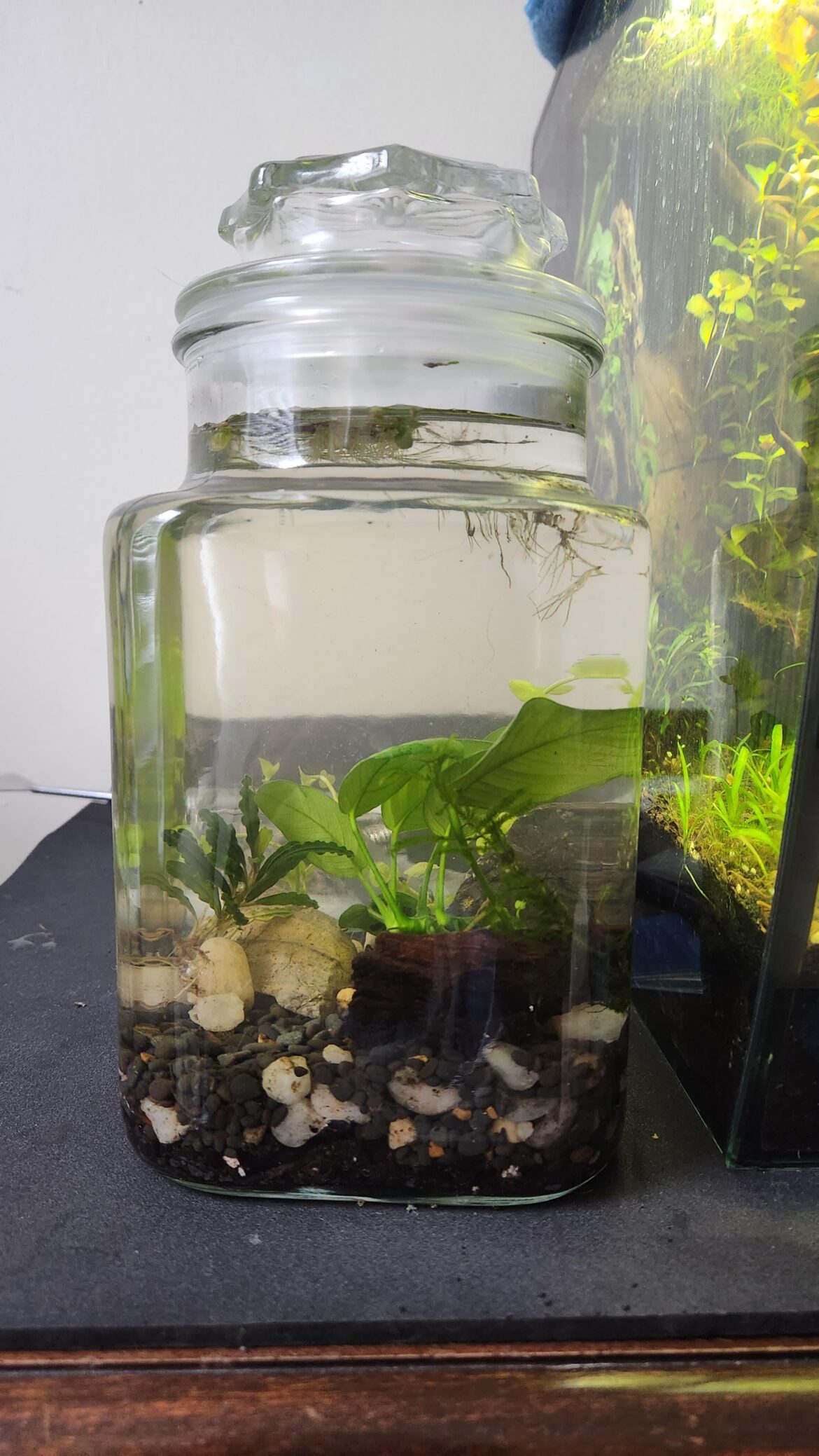 Update on office jar