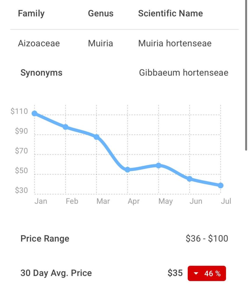 Just curious, but what’s up with the decrease in price of Muiria hortenseae?? Seems so drastic