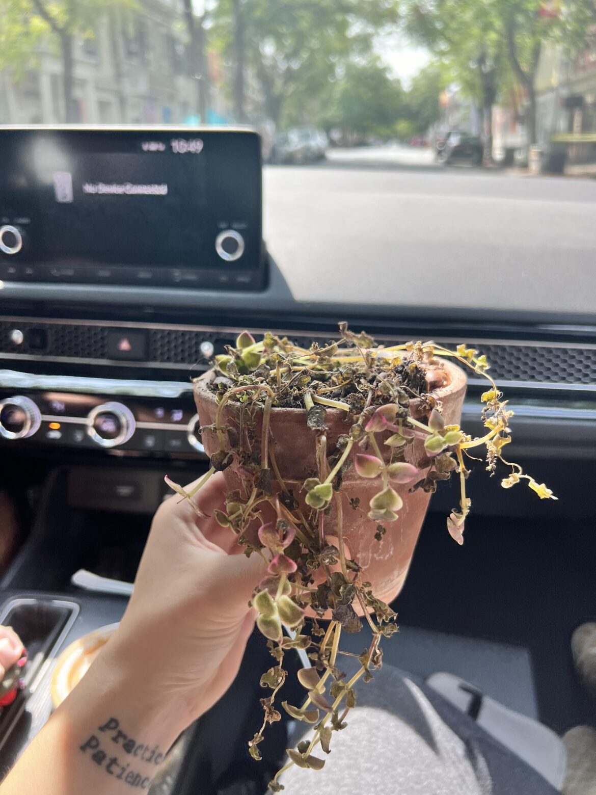 Help identify and rescue!