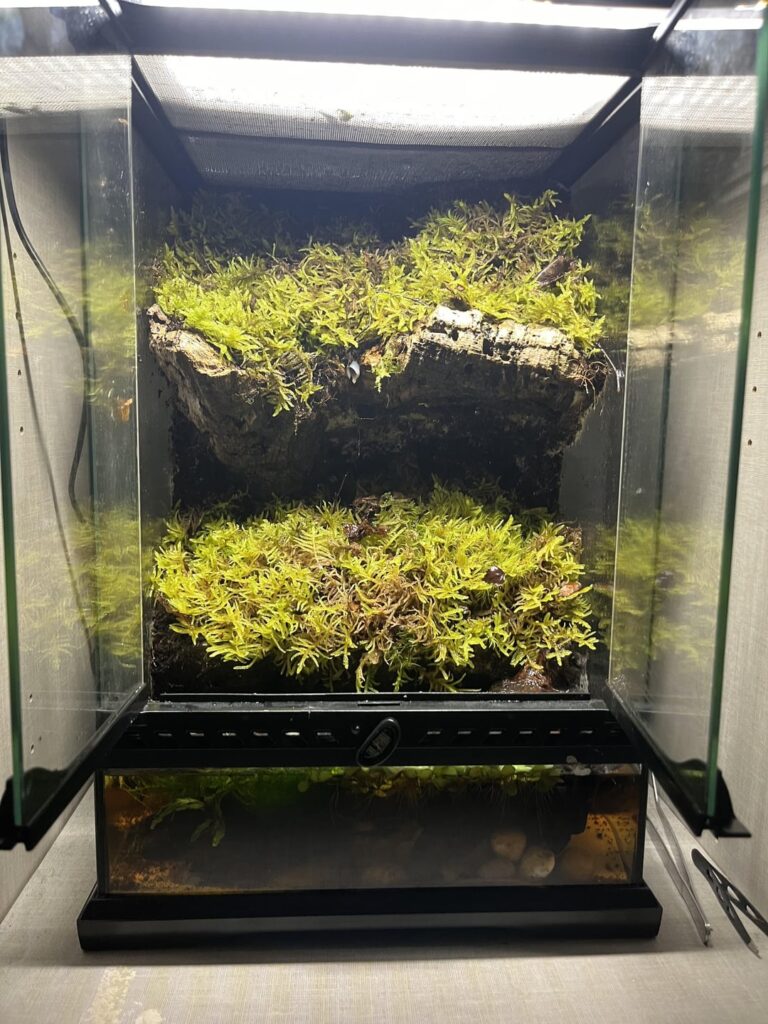 Planting recommendations
