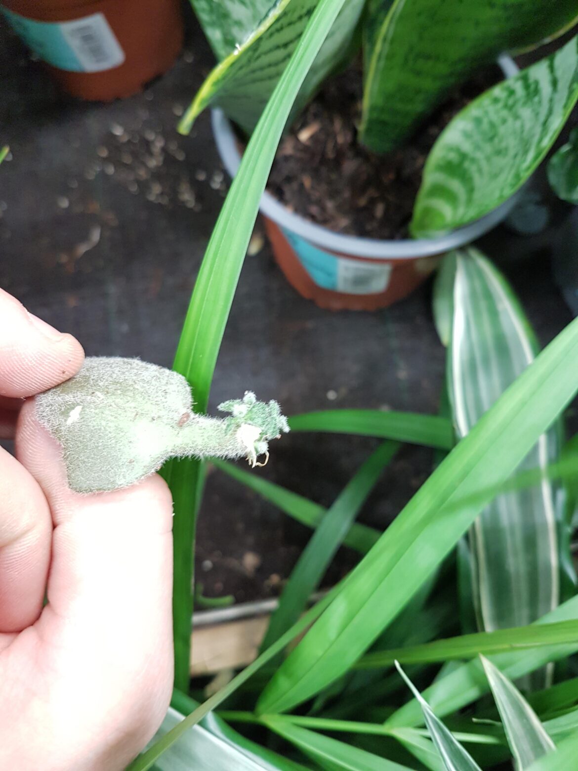 Found this yesterday at work, hopefully one of you finds it :D