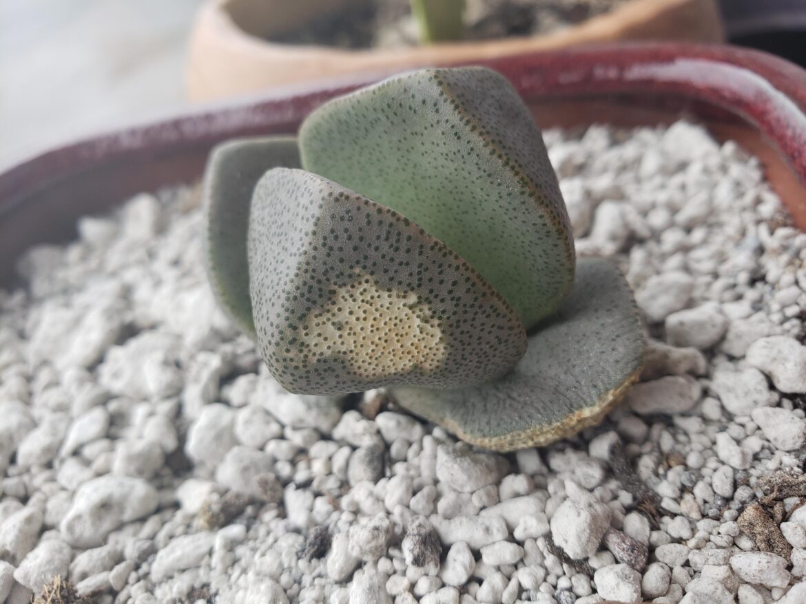 Is this little guy okay?