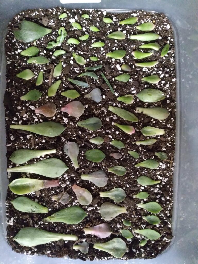 Home Depot score! Home Depot score!