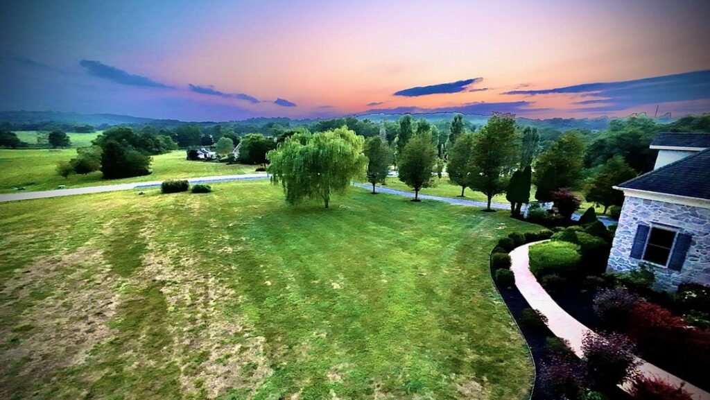 Dead grass, decent lines tho.