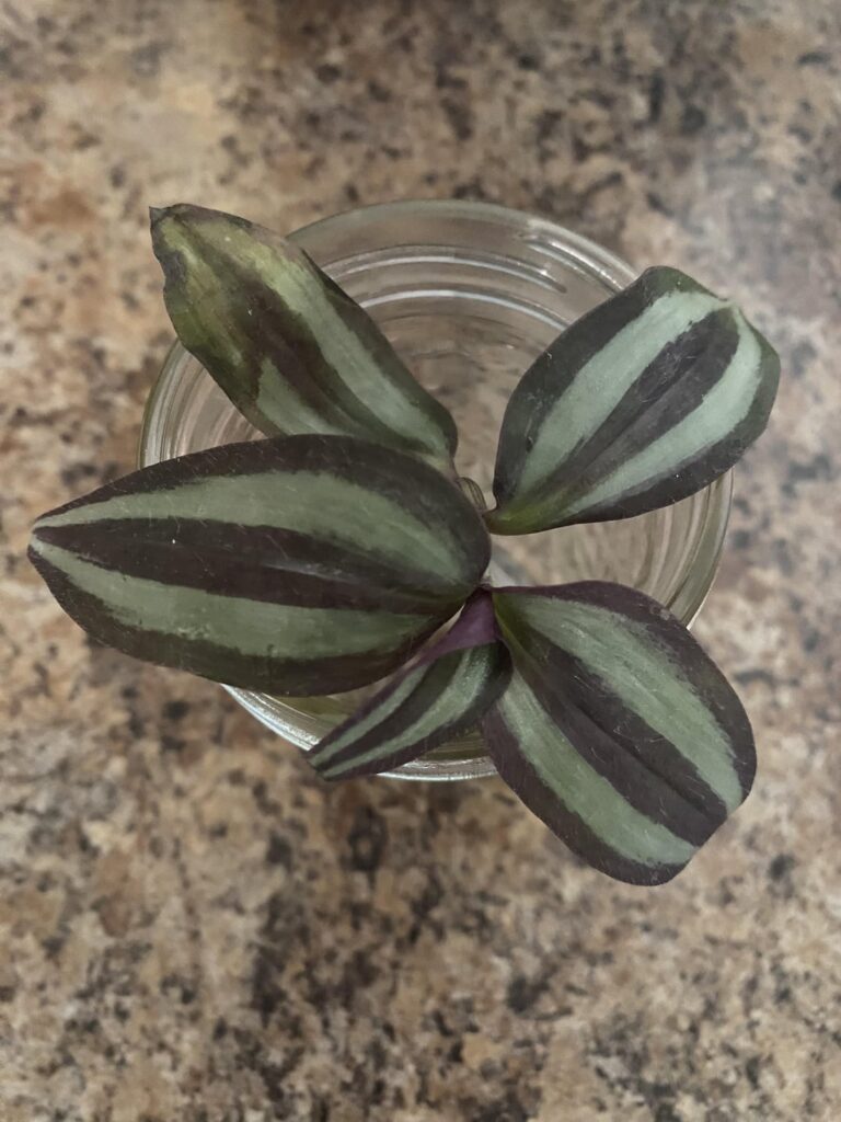 Is it still proplifting if you get permission? Any tips/advice?