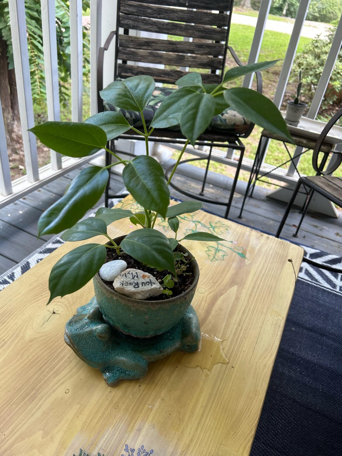 African umbrella prop