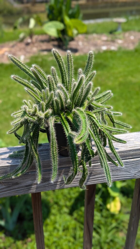 Proplifted in June 2023, massive amount of growth