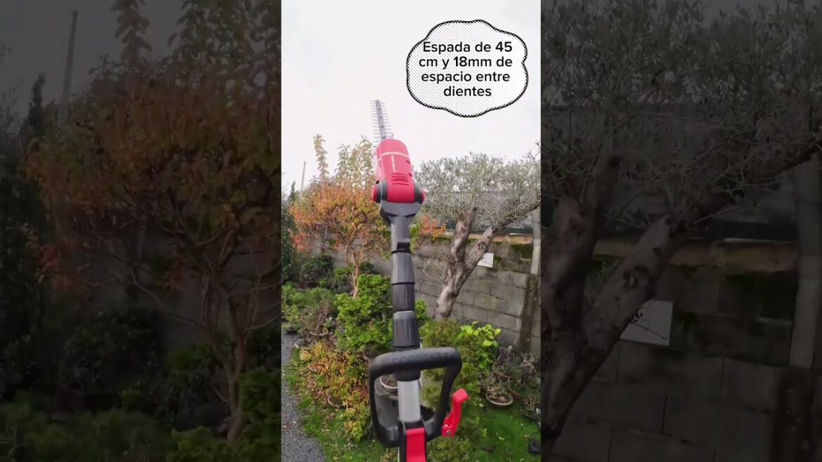 Baterías Einhell #gardener #topiary #garden #podaenaltura #subscribe #shorts