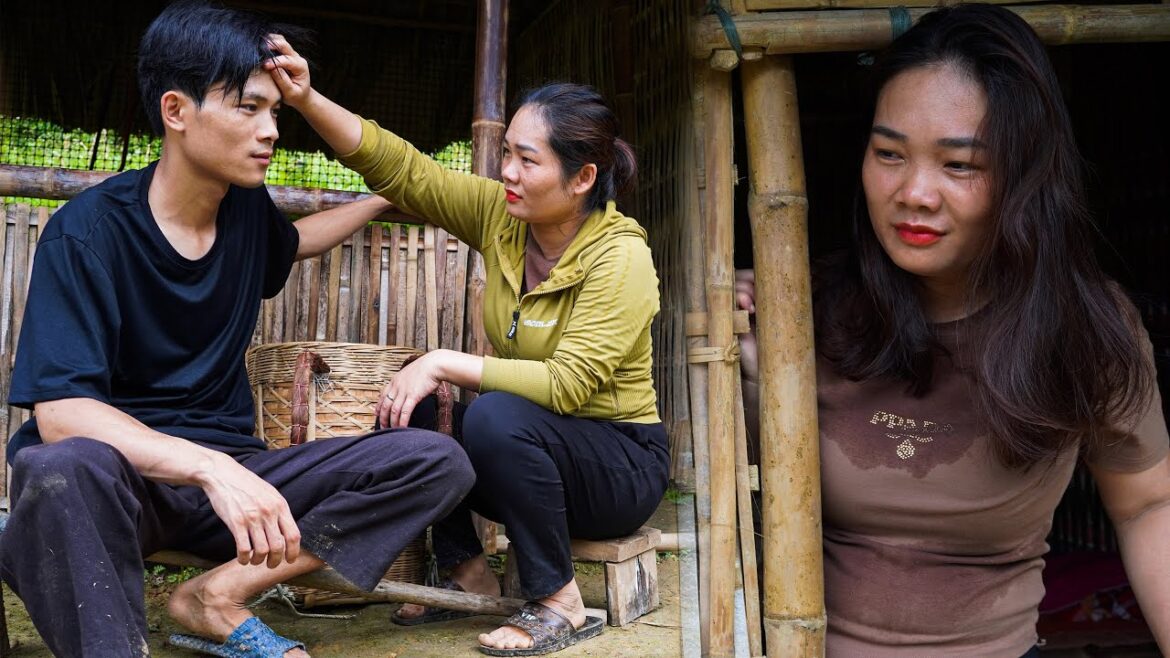 Harvesting coconuts to sell at the market   vegetable gardening   rural life in the mountains