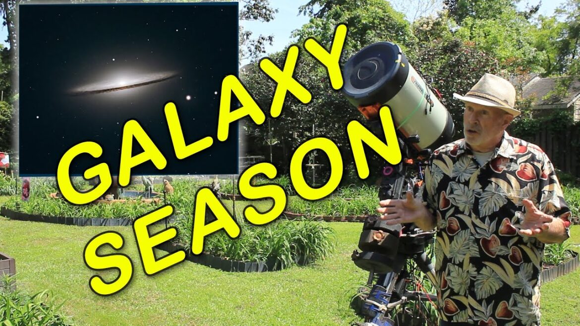 Galaxy Season From the Heavenly Backyard Garden