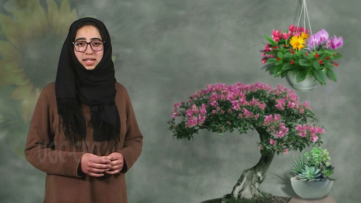 Status and scope of ornamental horticulture #swayamprabha #ch09sp