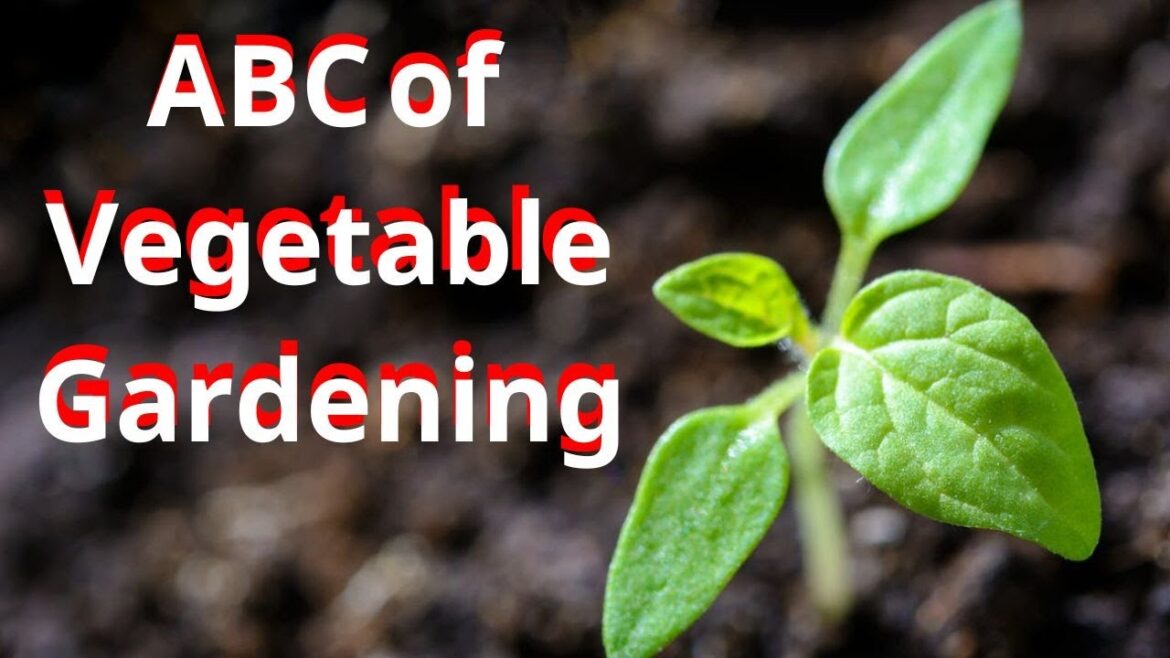 ABC of Vegetable Gardening - FULL AUDIOBBOOK Eben Eugene Rexford