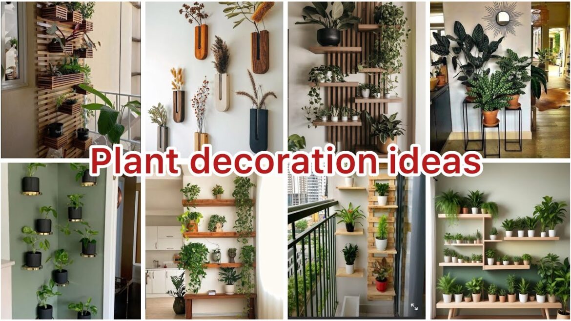 Plant decoration ideas 2024 // home decor with plants // entrance decor with plants