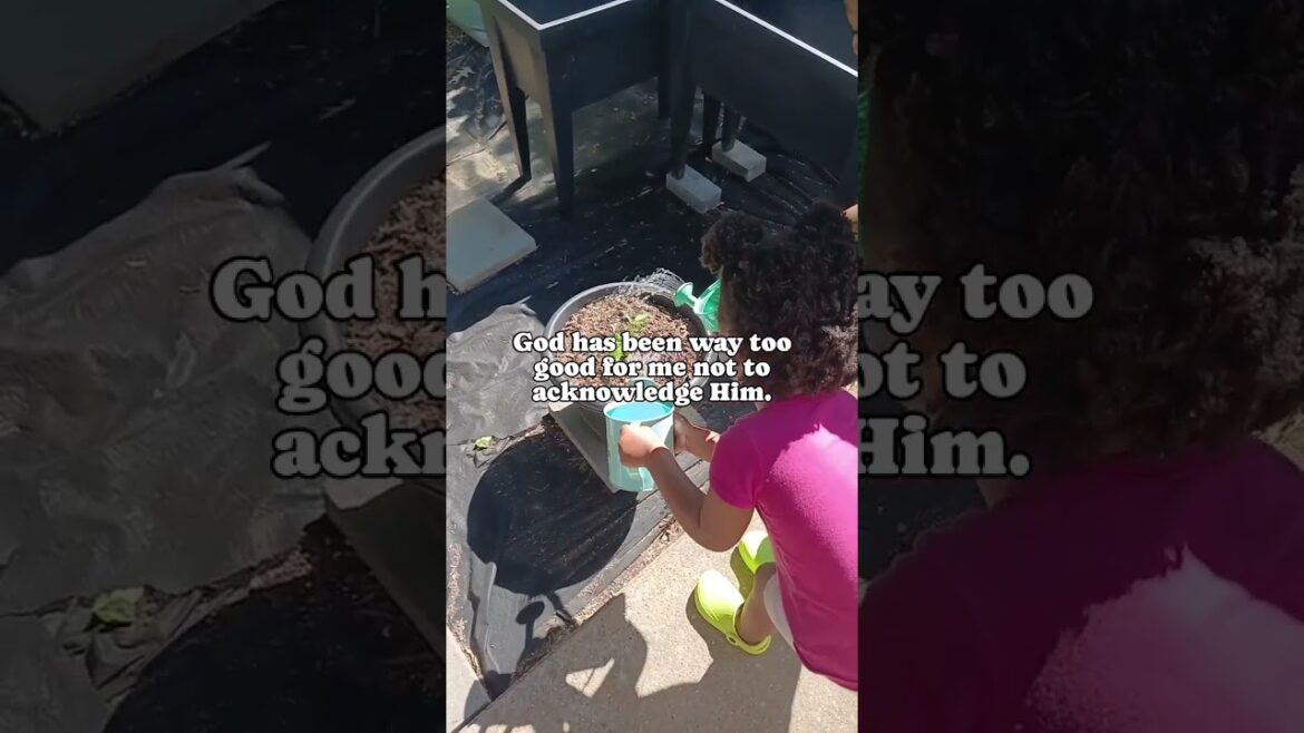 Peace Love & Grow! 🌱 | Small Space Gardening | Container Garden