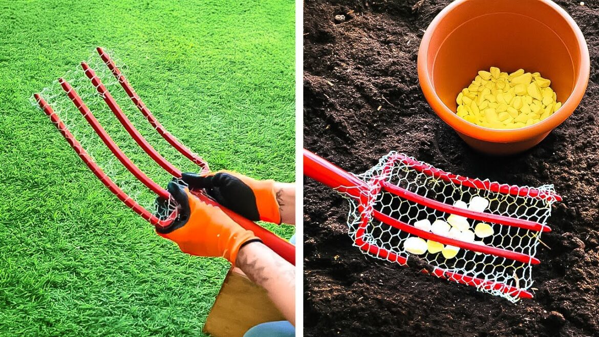 Boost your Garden with these unexpected tips Boost your Garden with these unexpected tips