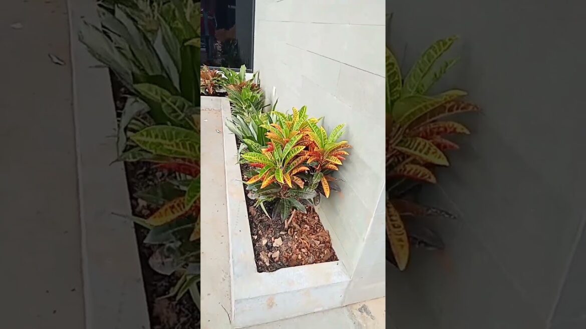 Small garden design #construction #garden #workers #shorts