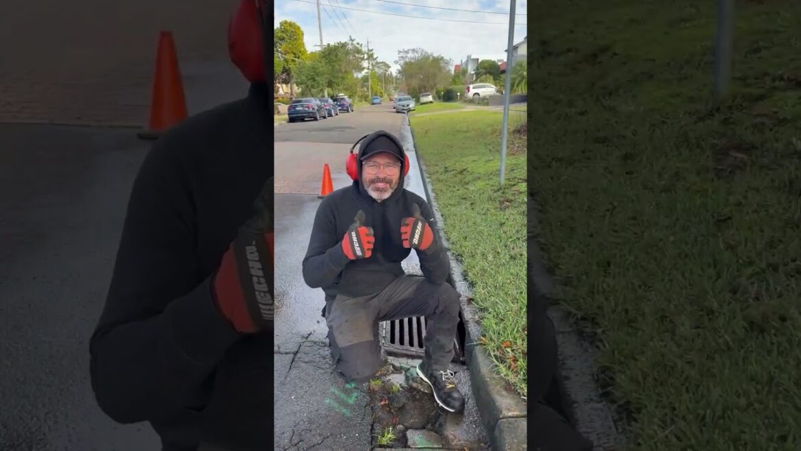 Quick Yard Cleanup #YardCleanUp #LawnCare #LawnMaintenance #GardeningTips #TrimmingTips