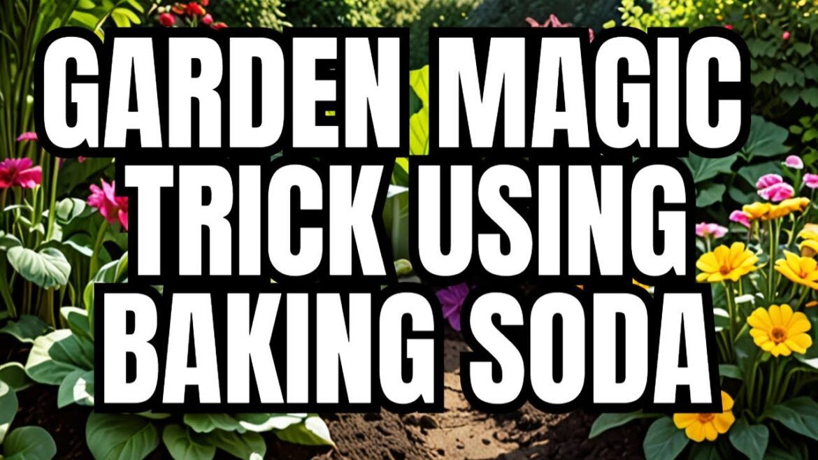 What Happens When You Add Baking Soda to Your Garden? What Happens When You Add Baking Soda to Your Garden?