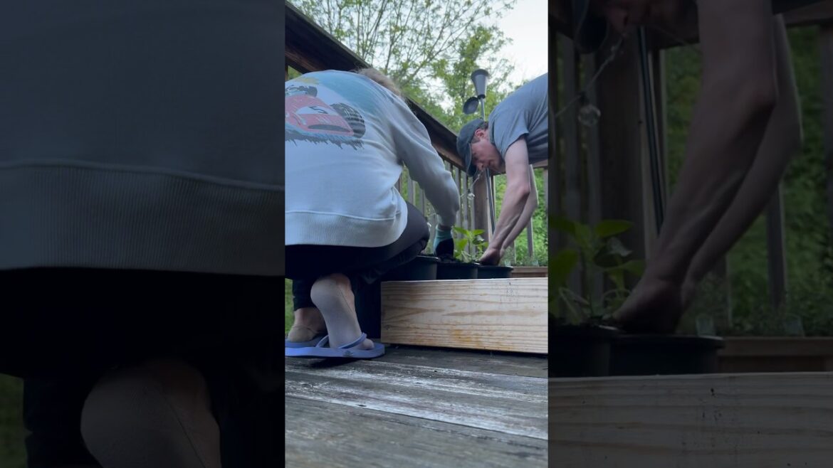 BACK PORCH GARDENING 🪴 shopping for garden supplies, herb garden, planting, & more 👩‍🌾🌱💚