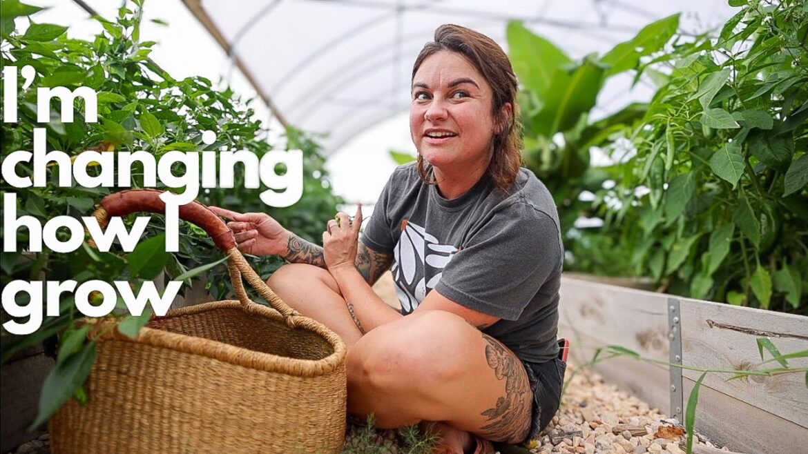 I'm changing how I garden (& a sheep scare) | VLOG